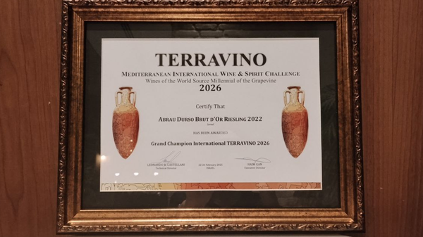 Международный дегустационный конкурс TERRAVINO в Израиле