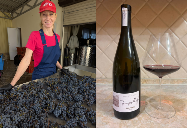 Екатерина Козлакова, совладелец и винодел проекта Tempelhof Winery (Ставропольский край)