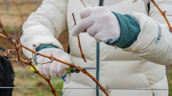 Выпускники СевГУ на предприятиях региона