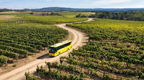 Проект Виноградный автобус в Севастополе