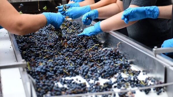 АО Цимлянские вина