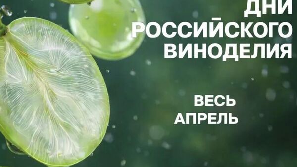 Дни российского виноделия в WINEPARK Дни российского виноделия в WINEPARK