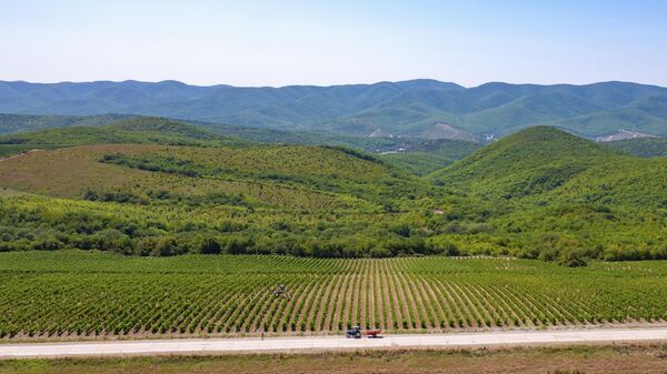 Винодельня Гай-Кодзор