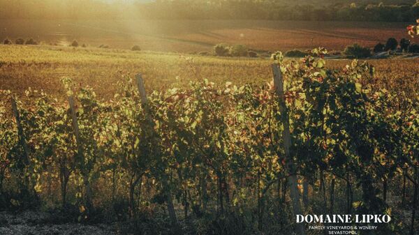 Винодельня Domaine Lipko (Крым)