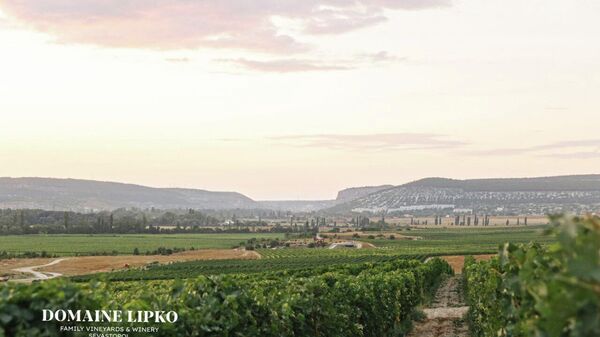 Винодельня Domaine Lipko (Крым)