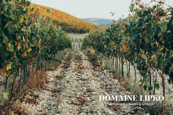 Винодельня Domaine Lipko (Крым)