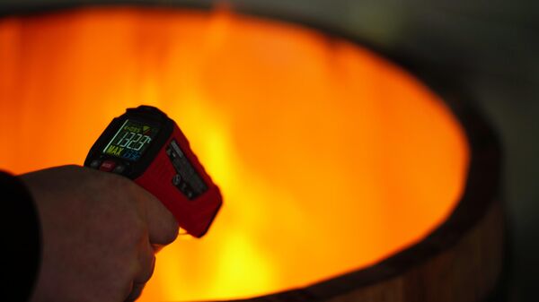 Инновационное бондарное производство: АВВР посетила Лабораторию дуба