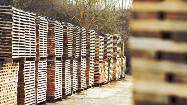 Инновационное бондарное производство: АВВР посетила Лабораторию дуба