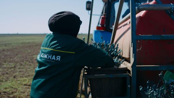 Агрофирма Южная приступила к закладке нового маточника подвоя