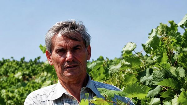 Доктор биологических наук в области виноградарства Трошин Леонид Петрович Доктор биологических наук в области виноградарства Трошин Леонид Петрович