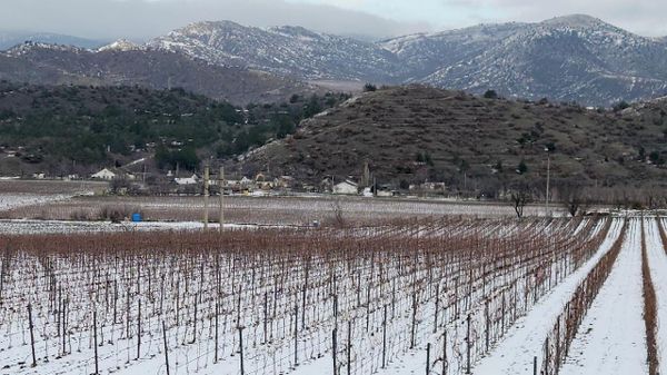 Sugdeya Winery