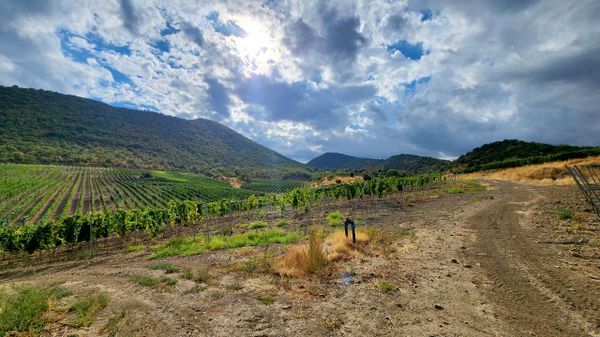 Sugdeya Winery