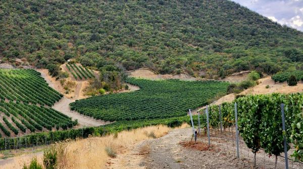 Sugdeya Winery