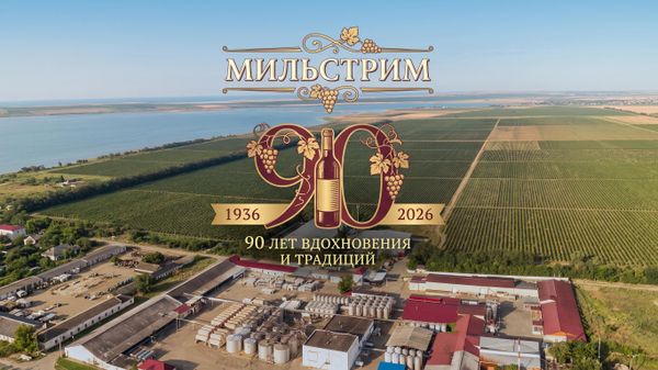 Мильстрим: 90 лет истории таманского виноделия