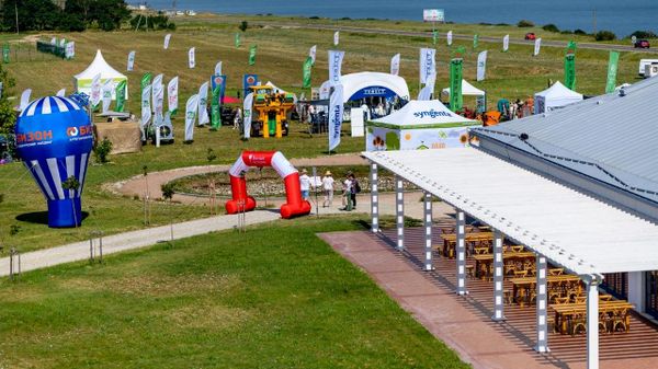 День поля на виноградниках