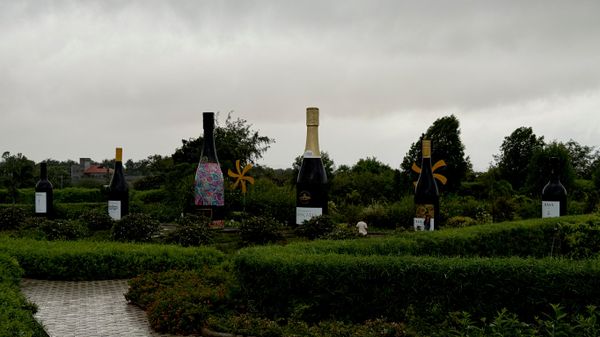 Sula Vineyards Sula Vineyards