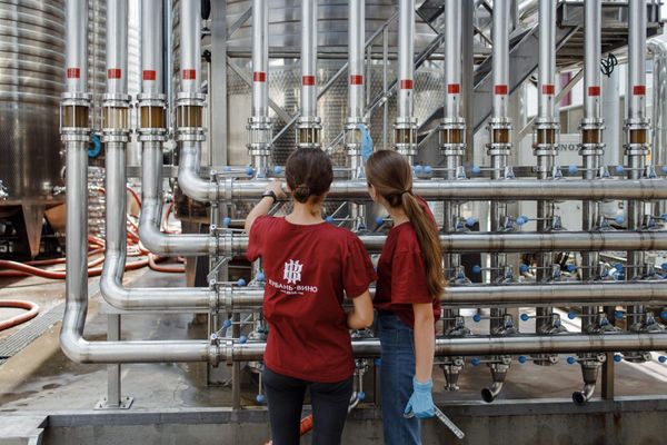 Практика студентов в агрофирме Южная и на винодельне Кубань-Вино