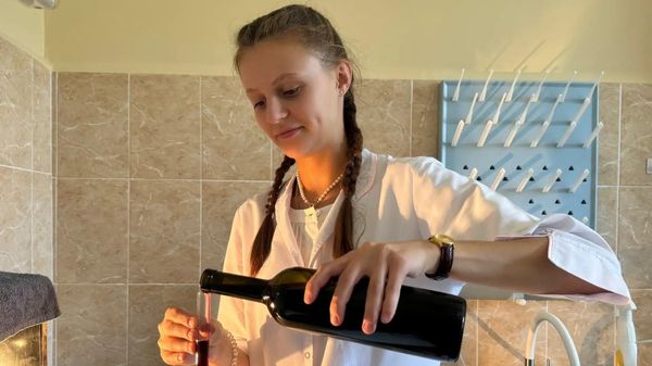 Студенты СевГУ прошли технологическую практику в винодельческих хозяйствах Крыма