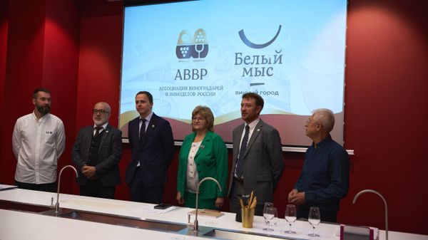 Дегустационная комиссия Кубка АВВР 2026 Дегустационная комиссия Кубка АВВР 2026