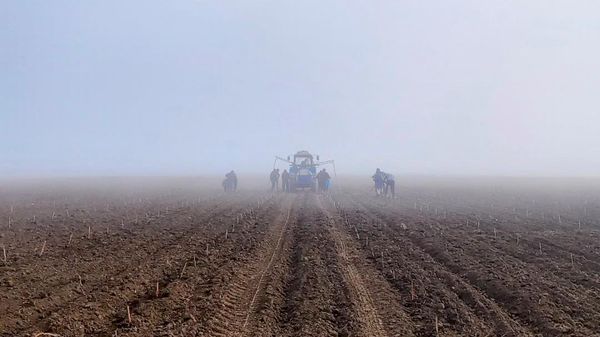 Фотоконкурс в рамках Премии Голицына. Максим Богданов. Винодельня Юбилейная Фотоконкурс в рамках Премии Голицына. Максим Богданов. Винодельня Юбилейная